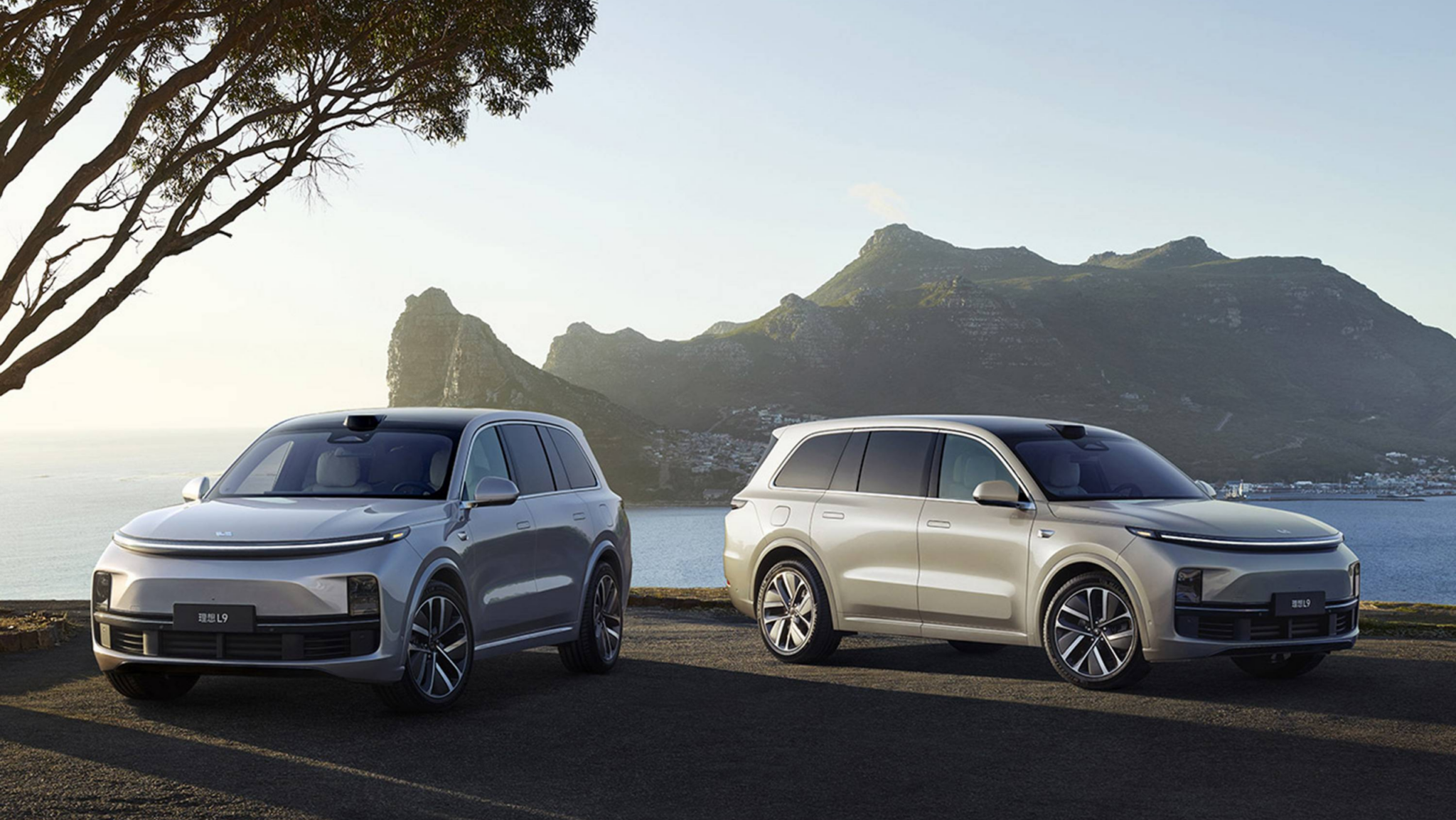 Li Auto расширяет международное присутствие, выходя на рынки Египта, Казахстана и Азербайджана